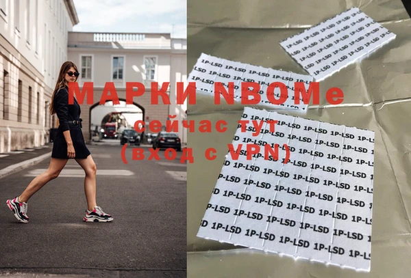 гидра Богородицк