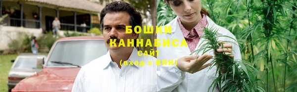 гидра Богородицк