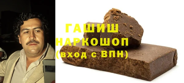 гидра Богородицк