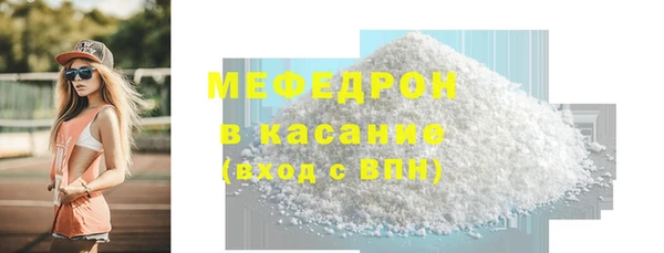 гидра Богородицк
