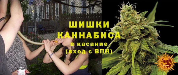 гидра Богородицк