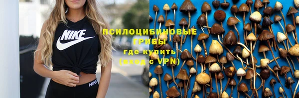 прущие грибы Рославль