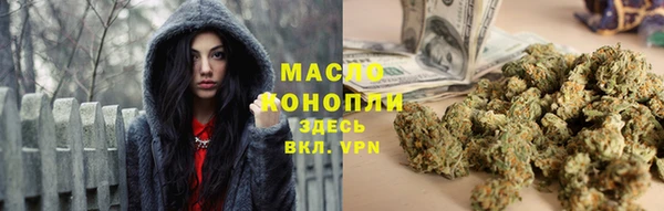 гидра Богородицк