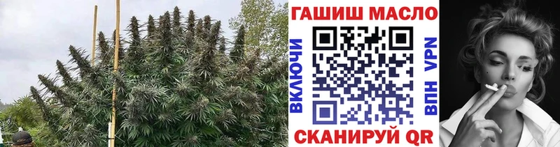 цена   кракен ССЫЛКА  Дистиллят ТГК Wax  площадка наркотические препараты  Новосокольники 
