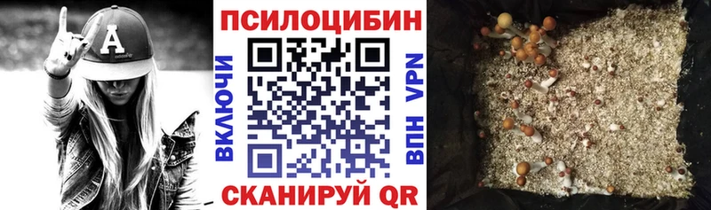 Галлюциногенные грибы Magic Shrooms  Новосокольники 